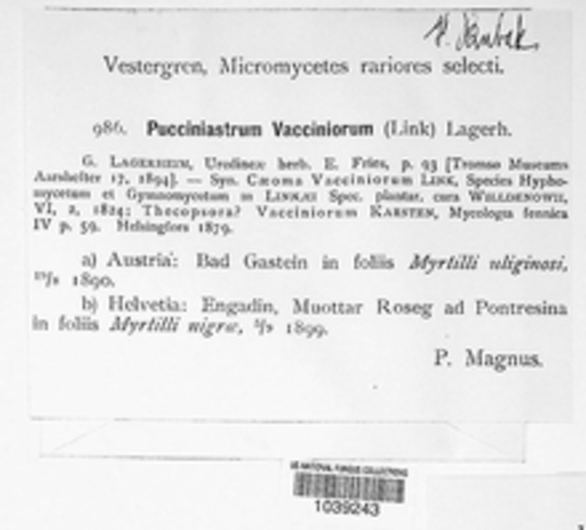 Naohidemyces vaccinii image